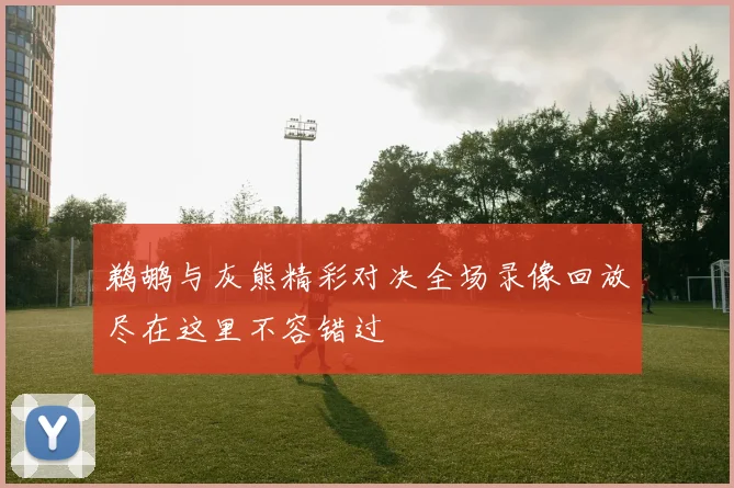 鹈鹕与灰熊精彩对决全场录像回放尽在这里不容错过
