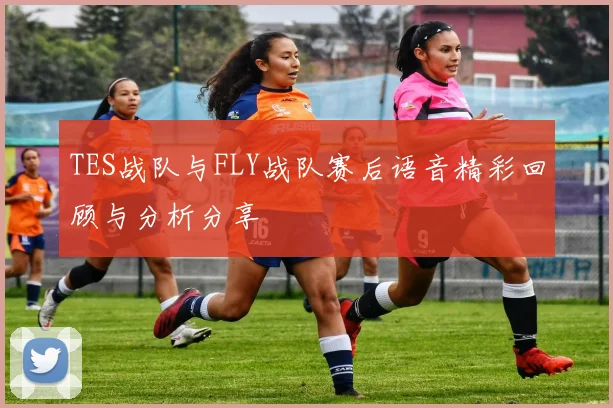 TES战队与FLY战队赛后语音精彩回顾与分析分享