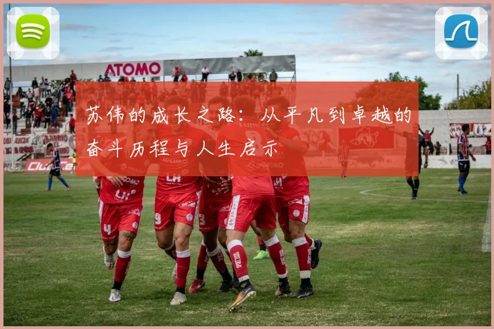 苏伟的成长之路：从平凡到卓越的奋斗历程与人生启示